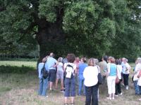 Albums/20090700-Windsor Great Park/21